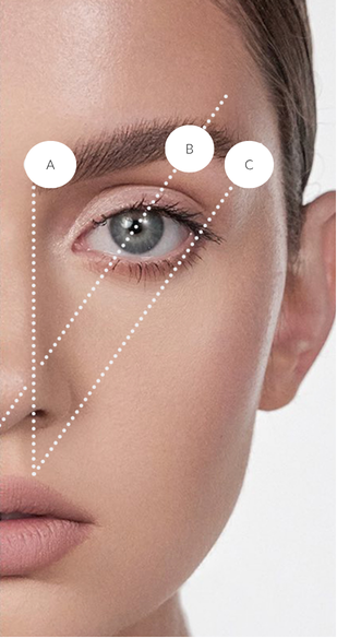 Close-up of a woman's face with white circular markers labeled A, B, and C over her eyebrow and eye area, connected by dotted lines, likely indicating a brow or eye makeup application guide.