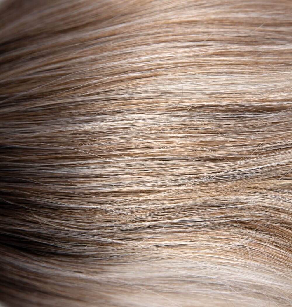 Evanna Wig by Rene of Paris | Hi - Fashion Collection | Stylish & Chic - By Laura Mayers